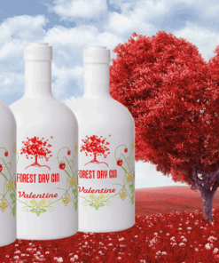 Alternative view of Forest dry gin valentine 45% 50cl